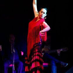 Noche Flamenca- Flamenco Show & Spanish Supper