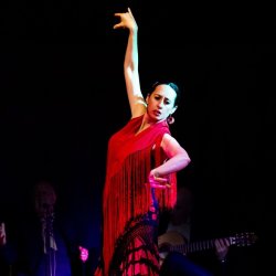 Flamenco dancer in red and black dress