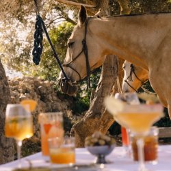 A New Vintage: Summer Dinner with Ember Mallorca