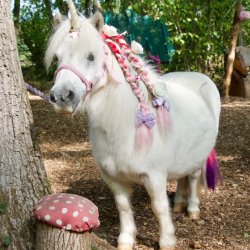 Ultimate Unicorn Encounter 2026