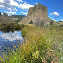 stream and rock formation