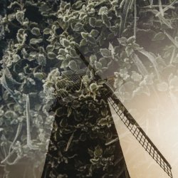 A Walk to the Windmill - explore photographic storytelling