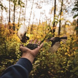 At Home in Nature: people and nature together - Summer 2026