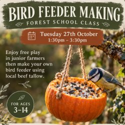 Bird feeder making class 🐥