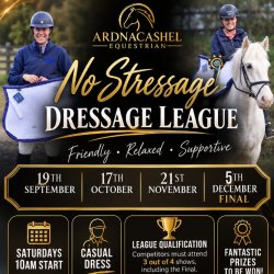 NO STRESSAGE DRESSAGE LEAGUE