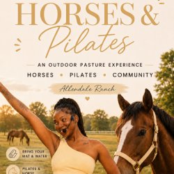Horses & Pilates- On the Mat