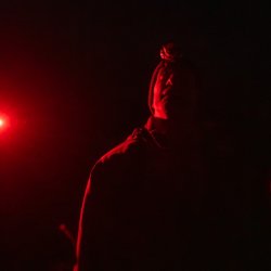 Nightjars & Cocktails Experience