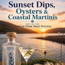 Sunset Dips, Oysters and Coastal Martinis part of the Dark Skies Festival Porlock Weir
