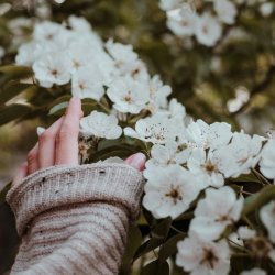 Forest Bathing for Wellbeing