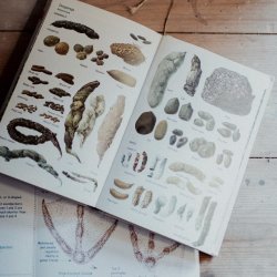 Introduction to Tracking Course - September 2026