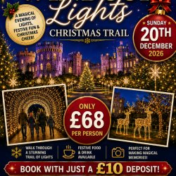 Windsor Great Park Light Trail