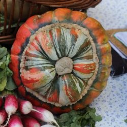 Pumpkin Preservation Pickle Party!