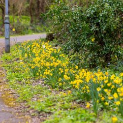 Bracknell BID Tidy Day - Wednesday 18th November 2026