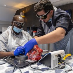 Laser Dentistry - Hands on Course