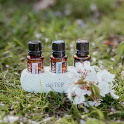 Meditation and Essential Oil Party
