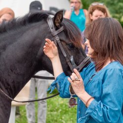 Ojibwe Spirit Horse Encounters