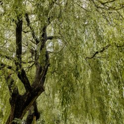 Seasonal Gatherings