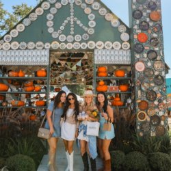 Fall Junkstock