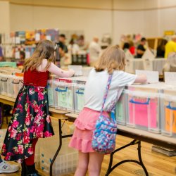 Someone crate digging through records