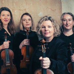 RANT Fiddles