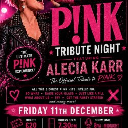 P!nk Tribute Night ft Alecia Karr