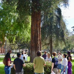 Mindful Tree Tour | In-Person