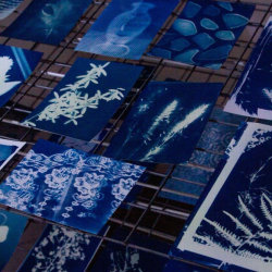 WAINSGATE WORKSHOP SERIES - AMANDA ALLAN