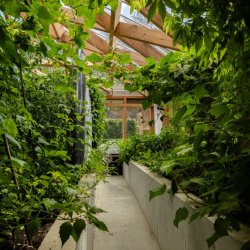 The Regenerative Garden: Low Cost Food Growing with Vicky Chown