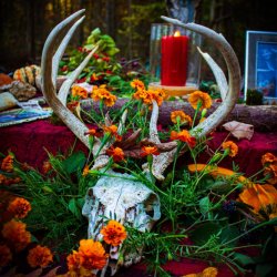 Growing Home: Samhain Gathering