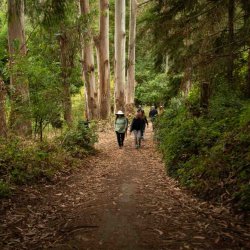 The Reset Retreat | A Work/Life Recharge