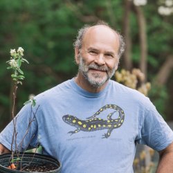 Nibbling on Native Plants in your Backyard and Beyond