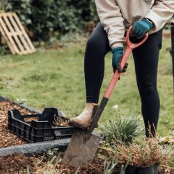 Winter Wellbeing - Gather & Grow Gardening Sessions