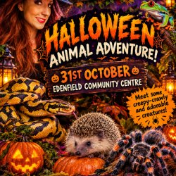 🎃 Halloween Animal Adventure 🎃