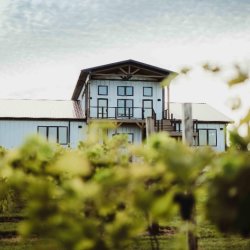 Timber Hill Winery