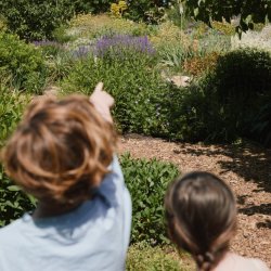 Family Day at The Serge Hill Project (6 August)