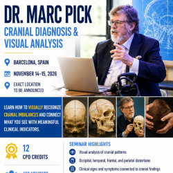 Dr Marc Pick: Cranial Diagnosis & Visual Analysis