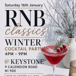 ❄️ RNB CLASSICS – WINTER COCKTAIL PARTY 🍸