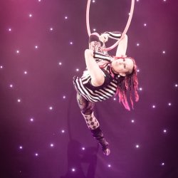 Aerial Shine | The Pole Room