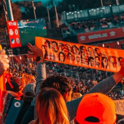 Man holding flag at football game