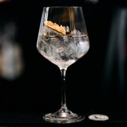 Gin Tasting (inkl. Fingerfood) - Auf den Spuren Magellan’s