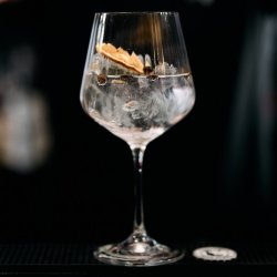 Gin Tasting (inkl. Fingerfood) - Tour de l’Europe