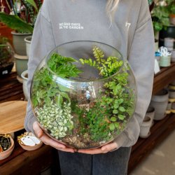 DIY Terrarium Workshop (Cedar Hills)
