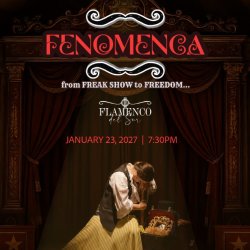 Fenomenca