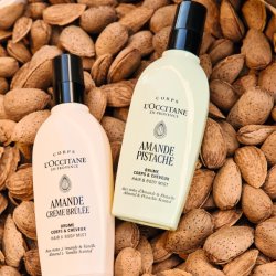 L'Occitane en Provence's NEW Almond Pistache and Almond Crème Brûlée Hair & Body Mists on a bed of almonds.