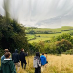 Wonder Walks