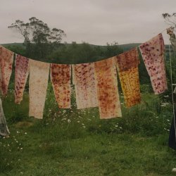 PLANT DYE CLUB - RYE