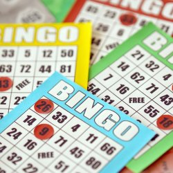 Bingo in the Garden