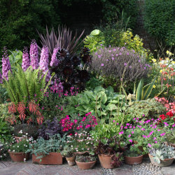 The Art and Craft of Gardening at Great Dixter- Fully booked