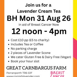 Breast Cancer Now Lavender Cream Tea Event