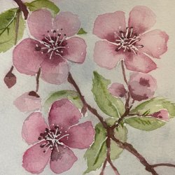 Watercolour and mixed media: Flowers!